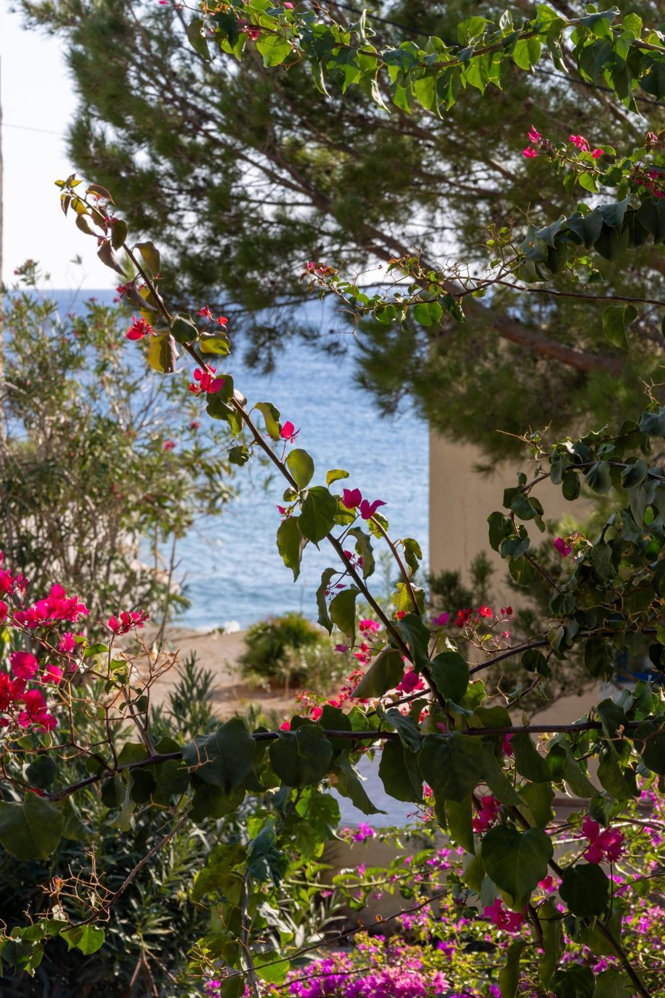 Aparthotel Okeanis Mystique South Ierápetra Exteriér fotografie